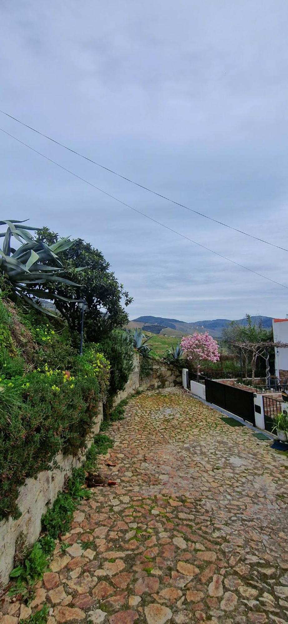 Casa Rodrigues Villa Pinhão Eksteriør bilde